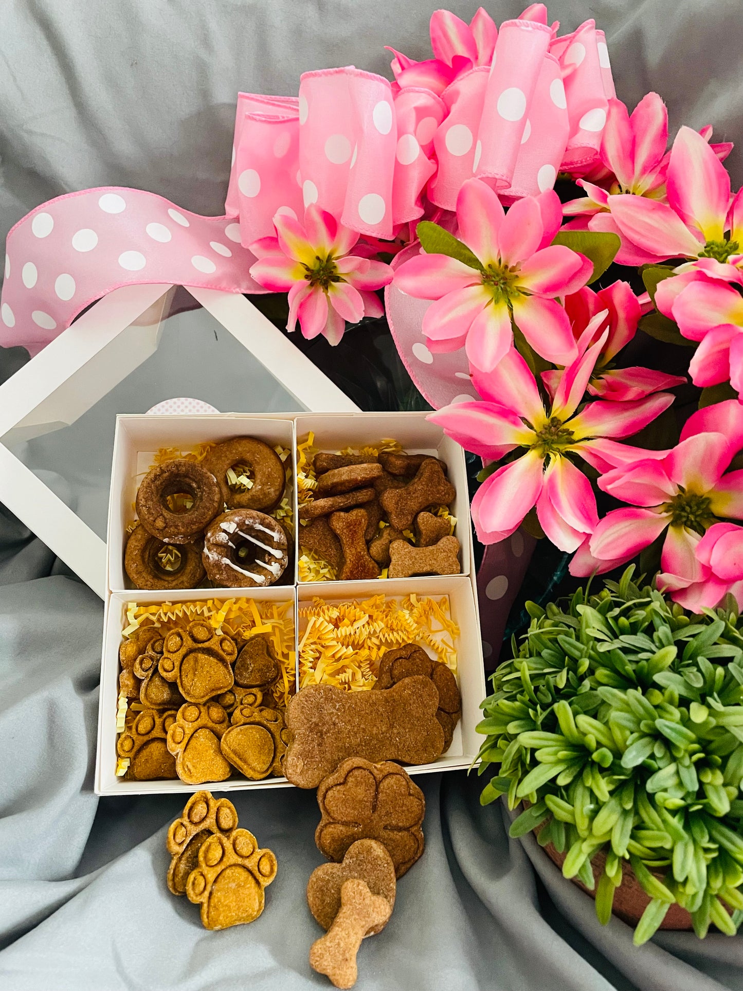 Bella's Sampler Treat Pack