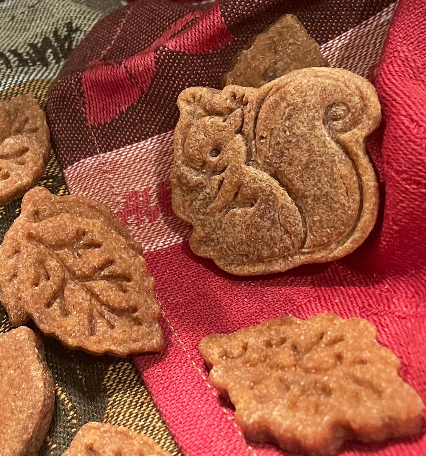 Fall Dayz Treats
