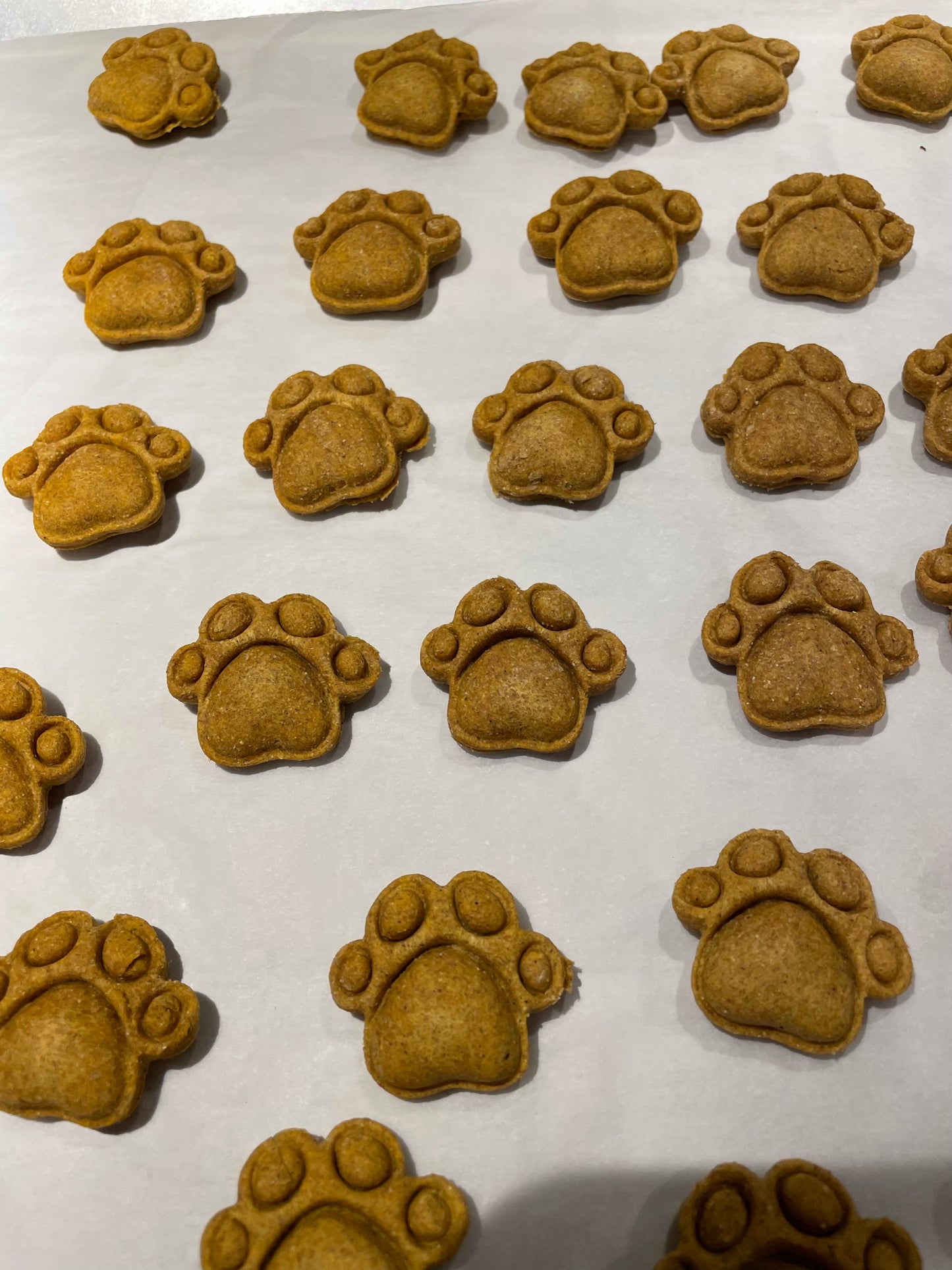 Pumpkin Paws Treats