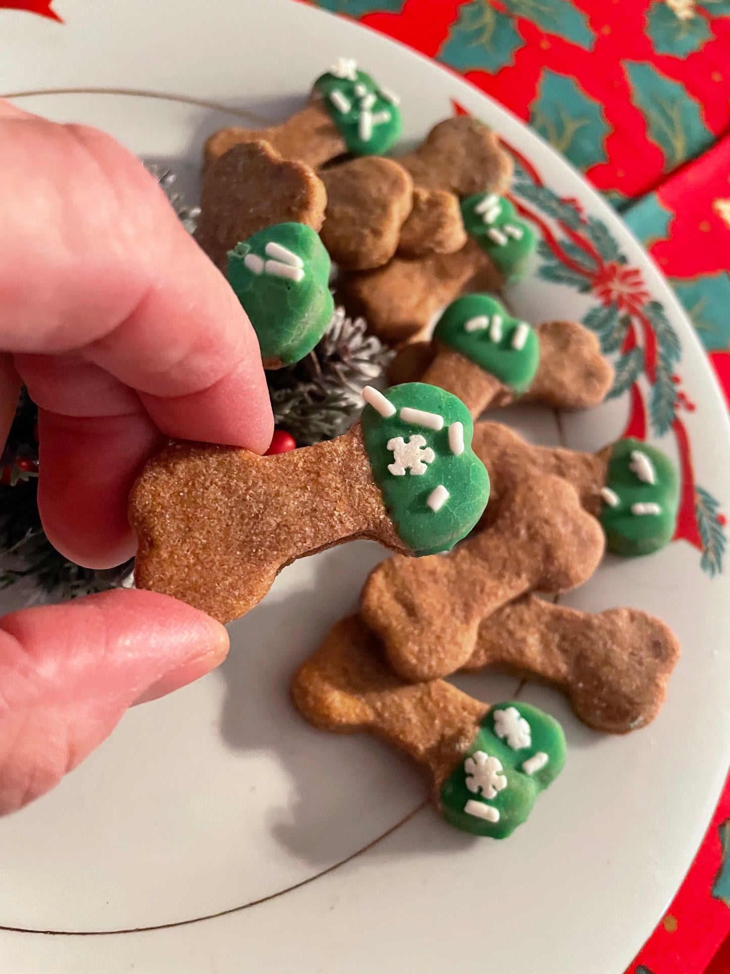 Mini Dipped Bones