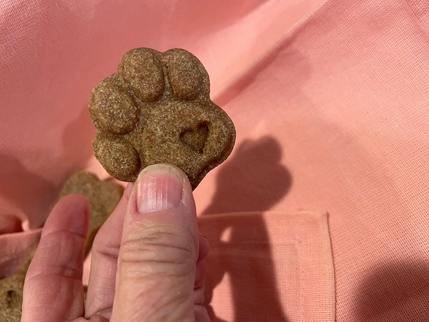 Peanut Butter Bones and Paws Treat Pack